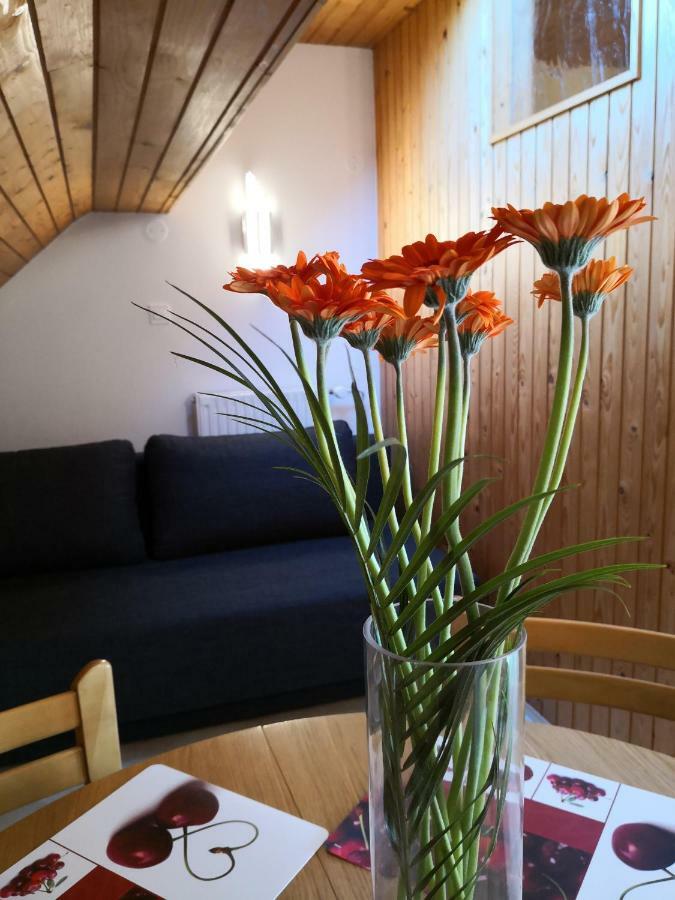 בלד Apartments Silic מראה חיצוני תמונה